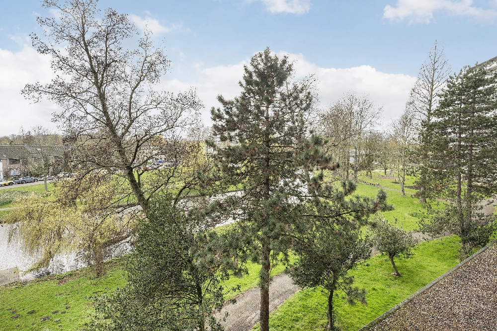 Schubertplein 47 foto 6