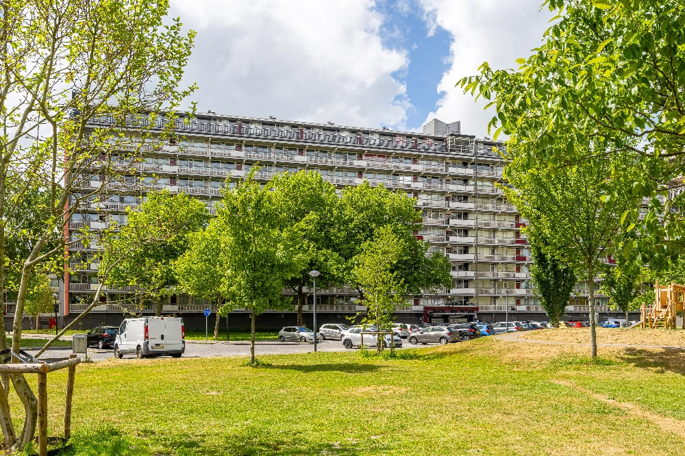 Bachplein 311 foto 2