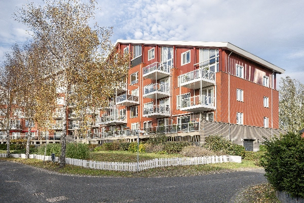 Kalixfors 49