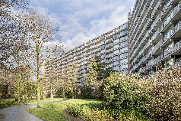 Griegplein 163