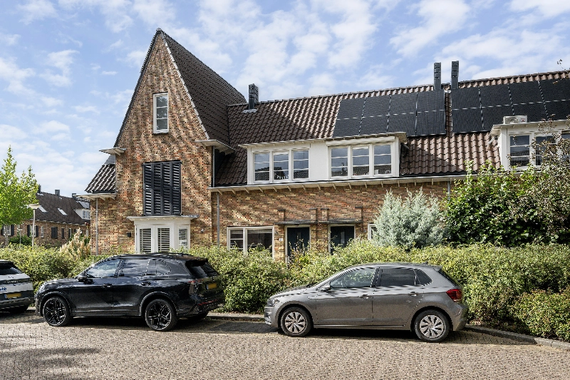 Vogelkers 2